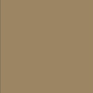 Axalta Bright Beige