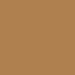 IFS Coatings RAL-8017