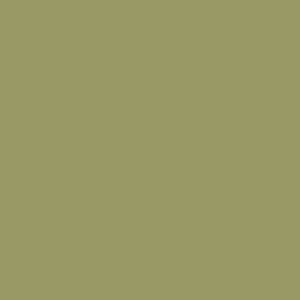 Axalta Olive Yellow RAL-1020