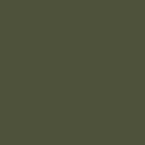 IFS Coatings Olive Green RAL-6003