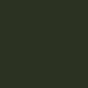 IFS Coatings Bottle Green RAL-6007