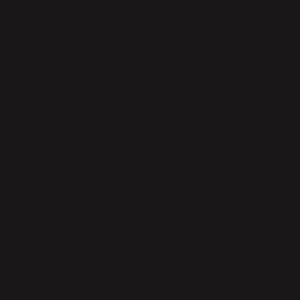 Axalta Black Brown RAL-8022