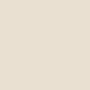 Axalta Cream RAL-9001